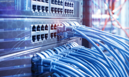 CAT-Kabel am Switch angeschlossen